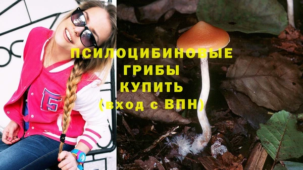 сатива Алзамай
